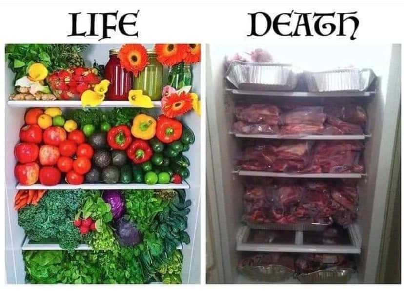 Life vs. death